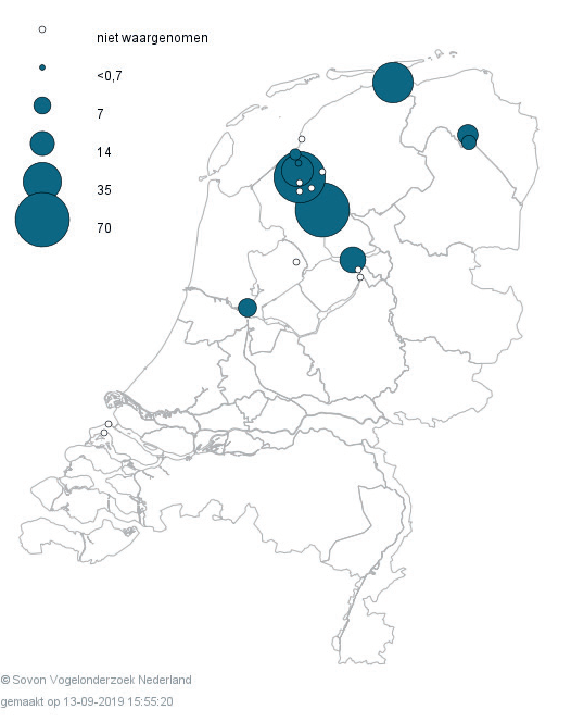 Kolgans, Toendrarietgans en Brandgans aantallen van 2009 tot en met 2019